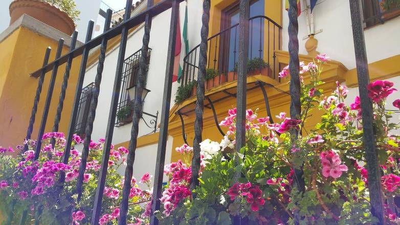 Casa de los Naranjos, Cordoba