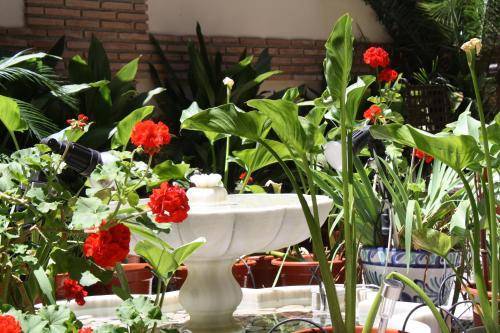 Abad&iacute;a Hotel, Granada