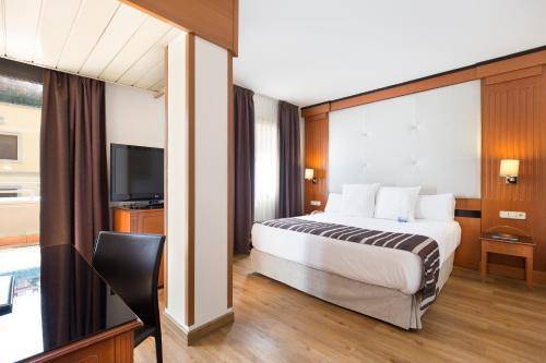 Melia Granada, Granada
