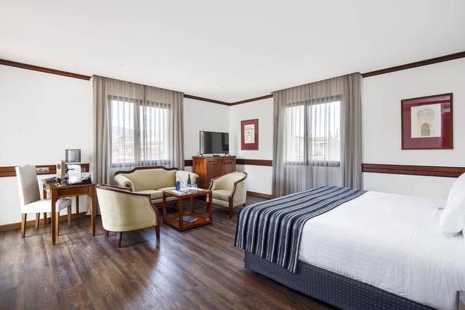 Melia Granada, Granada